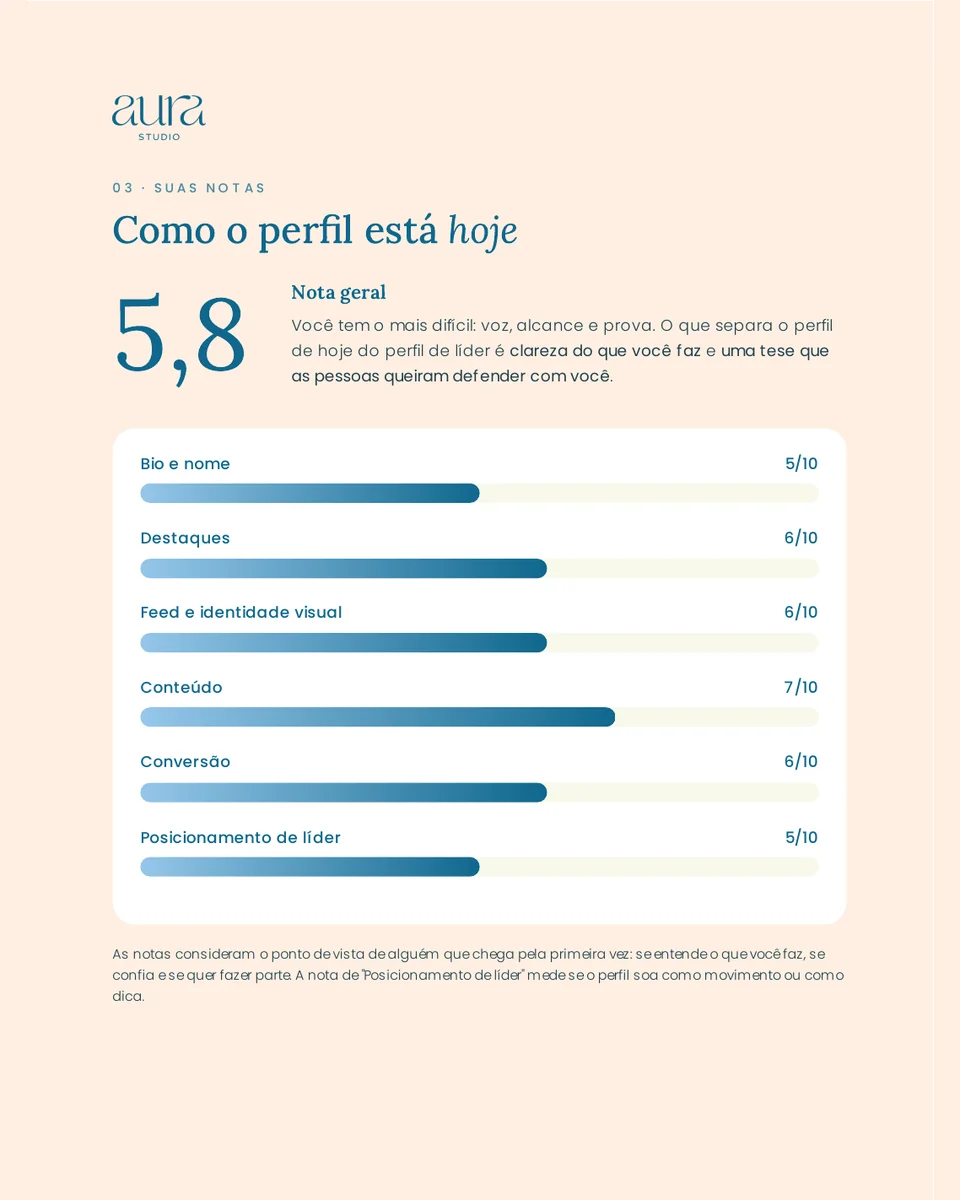 Página de notas de 0 a 10 por área de um diagnóstico real